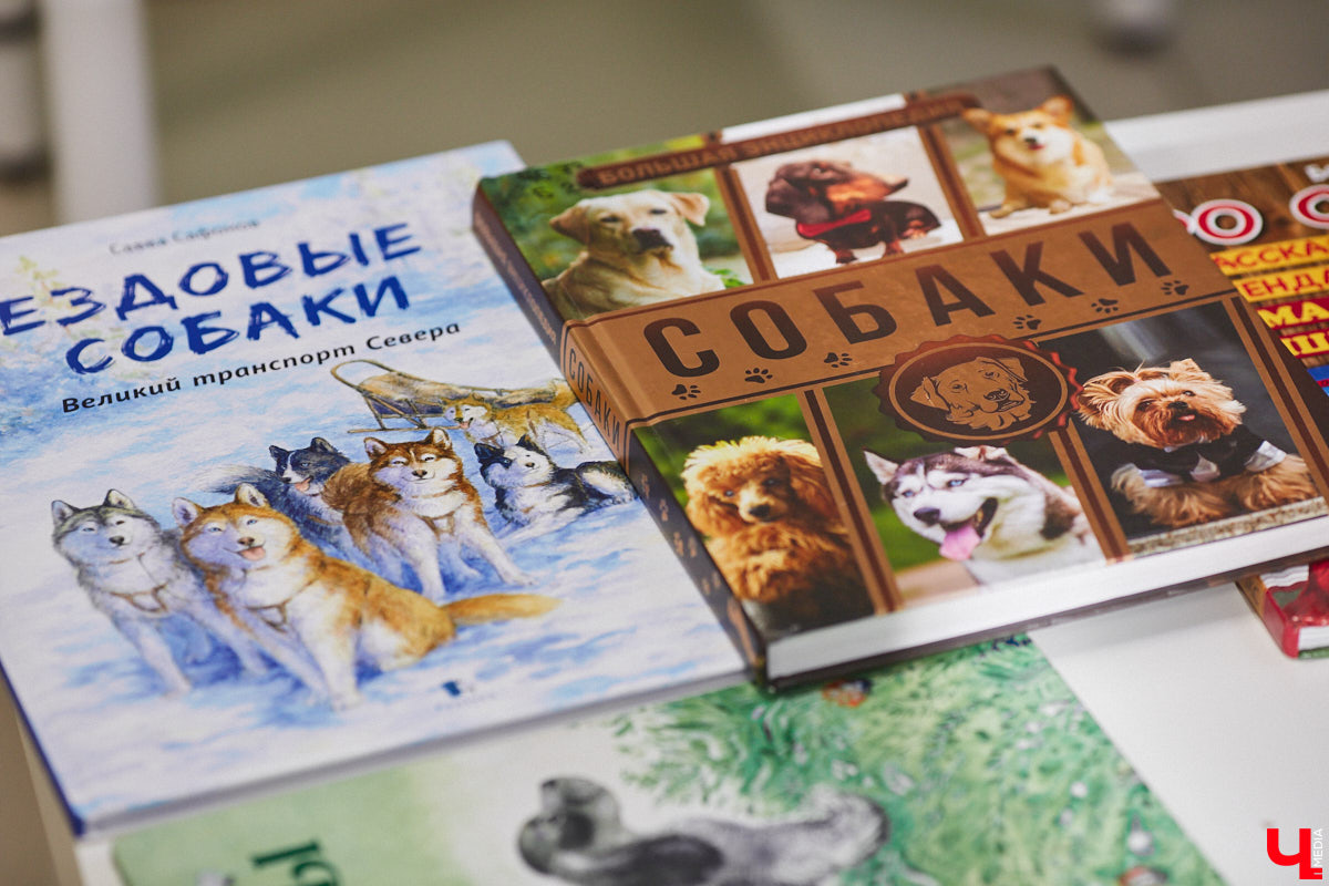 Зооповестка Владимира пестрит важными новостями. В последнее время произошло сразу несколько громких событий, которые «Ключ-Медиа» не мог пропустить. О выигранном гранте, бесплатной кинологической помощи, глобальном переезде и сюрпризе с областным приютом читайте в нашем обзоре.