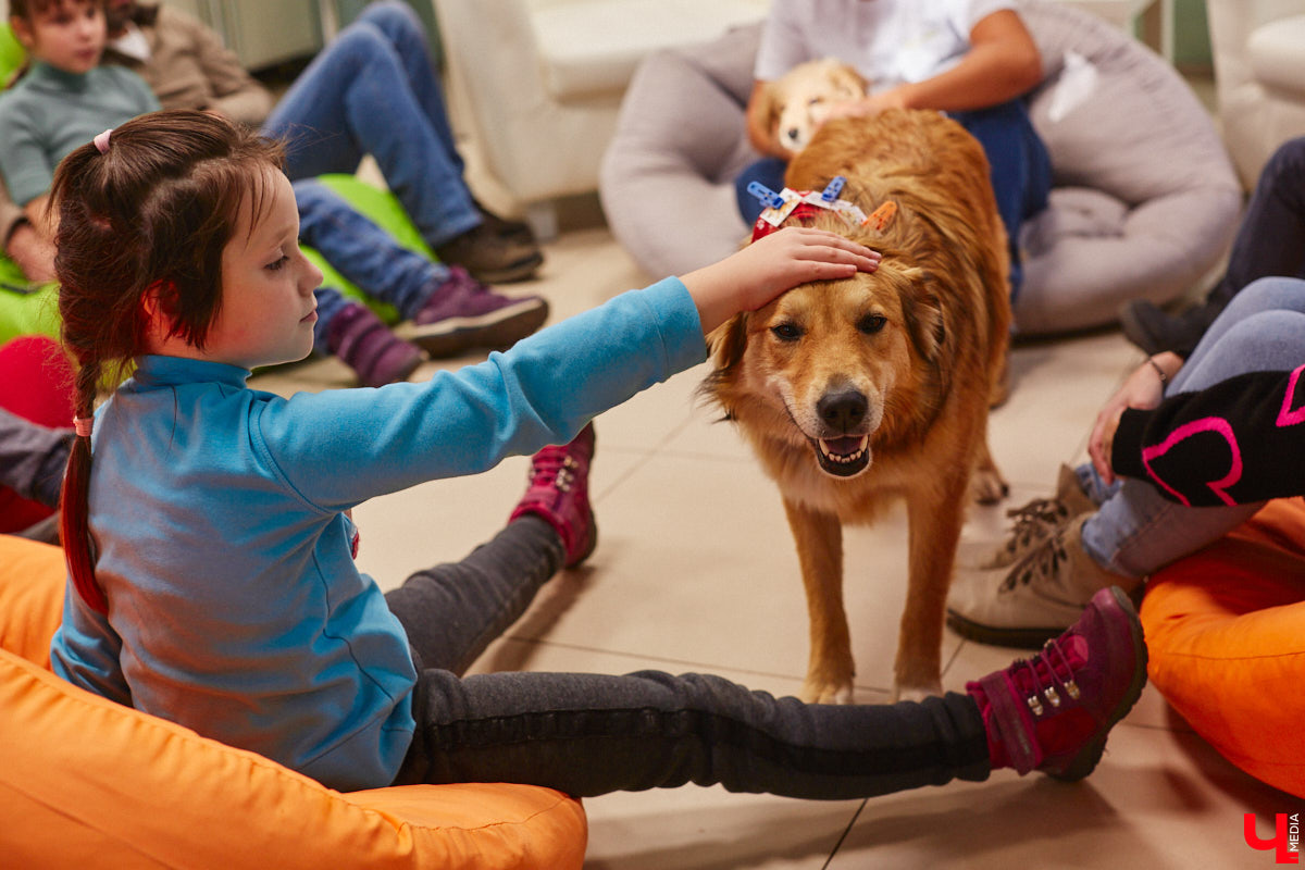 Зооповестка Владимира пестрит важными новостями. В последнее время произошло сразу несколько громких событий, которые «Ключ-Медиа» не мог пропустить. О выигранном гранте, бесплатной кинологической помощи, глобальном переезде и сюрпризе с областным приютом читайте в нашем обзоре.