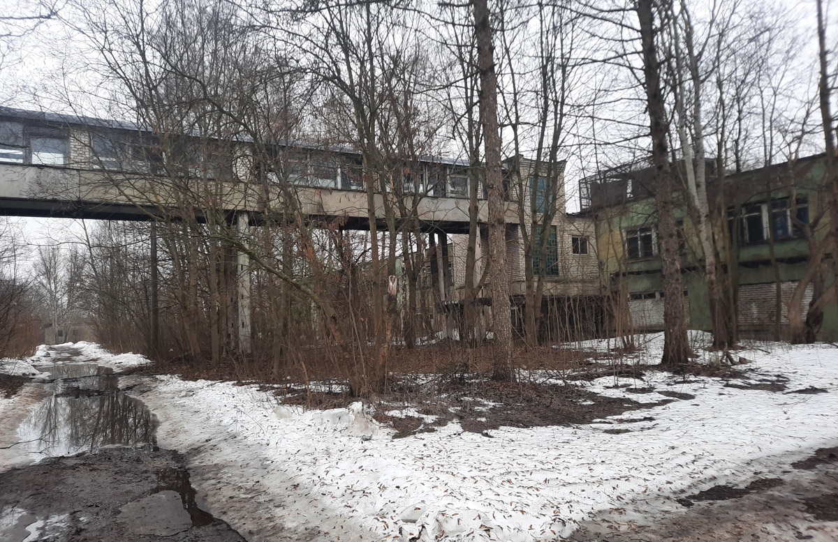 Много лет киржачский шелковый комбинат находился в забвении и превратился в очередную заброшку. Но в отличие от других опустевших предприятий региона ему выпал счастливый билет. Меценат Евгений Федоров задумал превратить комплекс в индустриальный парк. Деталями проекта он поделился с «Ключ-Медиа».