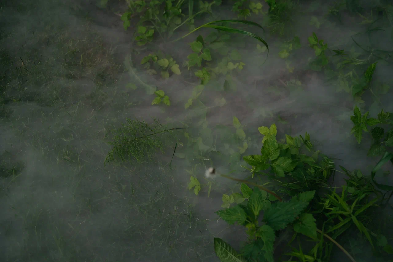 Режиссер из Коврова Даша Мартин воплотила в жизнь новую амбициозную задачу — свадьбу в духе неославянизма, где количество актеров, членов съемочной команды и организаторов почти в 12 раз превысило число гостей! Смотрим атмосферные фото и читаем историю о том, как все прошло.