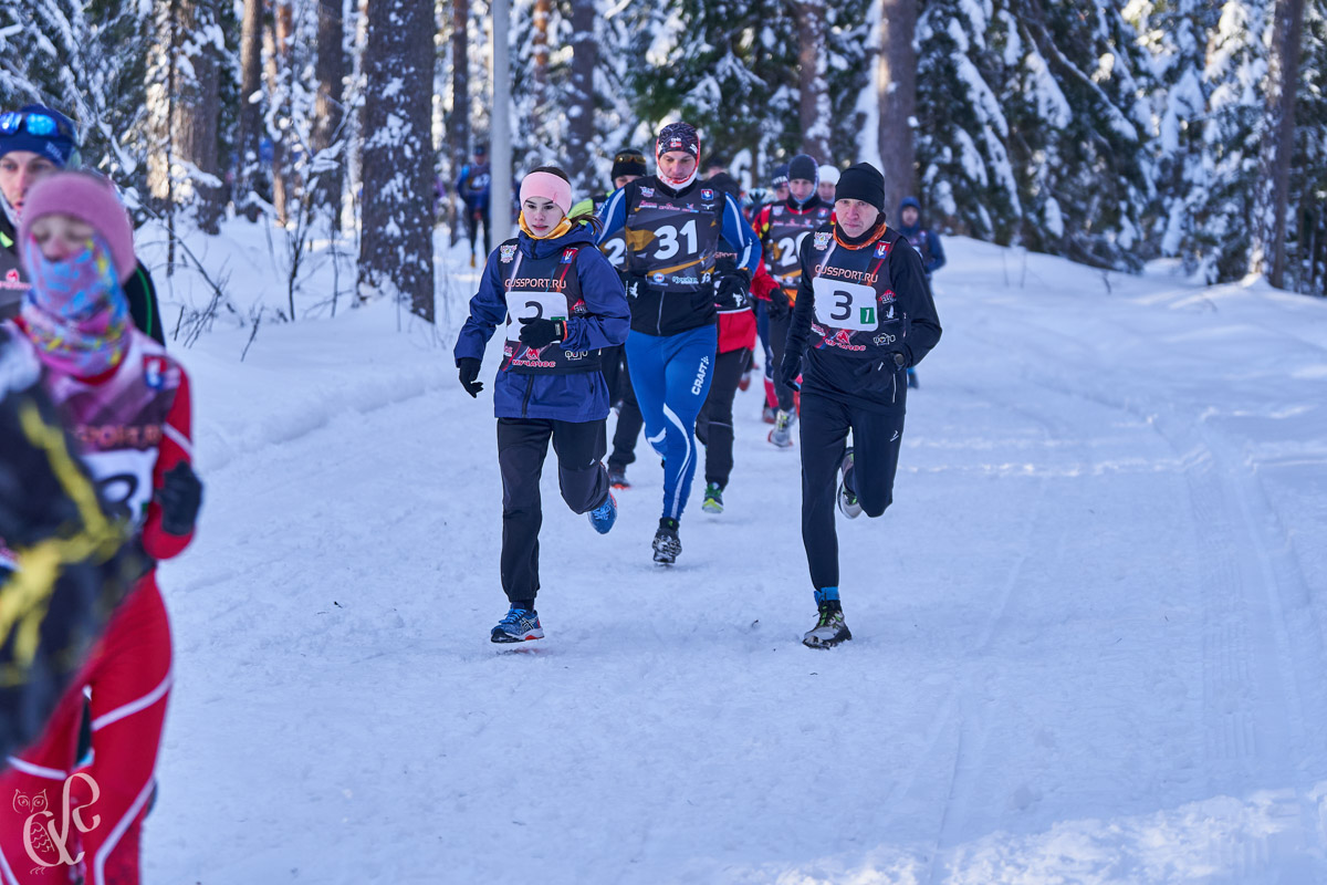 Прошедшие зимние выходные во Владимирской области были по-настоящему яркими. В регионе прошли сразу три атмосферные гонки. В Ковровском районе соревновались на собачьих упряжках и мотоциклах, а в Гусь-Хрустальном — на велосипедах и лыжах.