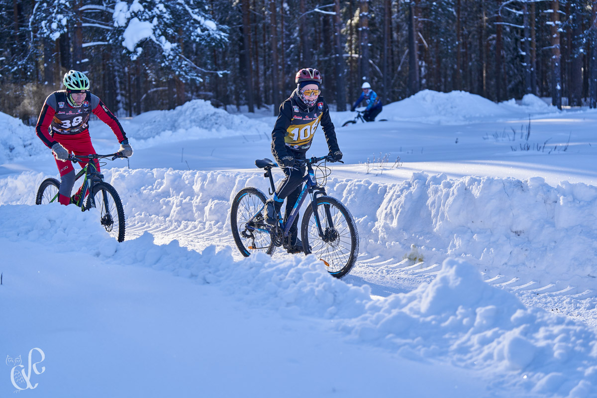 Прошедшие зимние выходные во Владимирской области были по-настоящему яркими. В регионе прошли сразу три атмосферные гонки. В Ковровском районе соревновались на собачьих упряжках и мотоциклах, а в Гусь-Хрустальном — на велосипедах и лыжах.