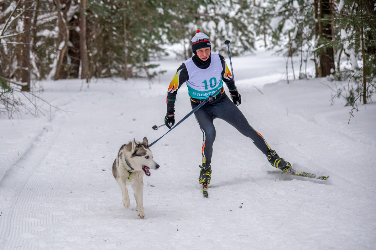 Прошедшие зимние выходные во Владимирской области были по-настоящему яркими. В регионе прошли сразу три атмосферные гонки. В Ковровском районе соревновались на собачьих упряжках и мотоциклах, а в Гусь-Хрустальном — на велосипедах и лыжах.