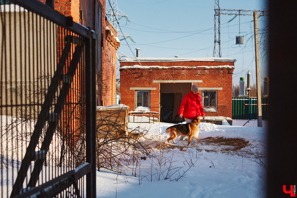 «Валента» сменила имя, локацию и уже начала осваиваться на новом участке. Поздравить с успешным переездом сотрудников и пушистых постояльцев новоиспеченного приюта «Ковчег33» мы решили лично, и привезли оттуда не только лучики добра, но и очень искренний фоторепортаж.