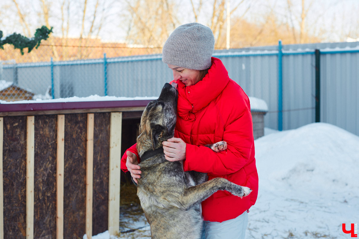 «Валента» сменила имя, локацию и уже начала осваиваться на новом участке. Поздравить с успешным переездом сотрудников и пушистых постояльцев новоиспеченного приюта «Ковчег33» мы решили лично, и привезли оттуда не только лучики добра, но и очень искренний фоторепортаж.