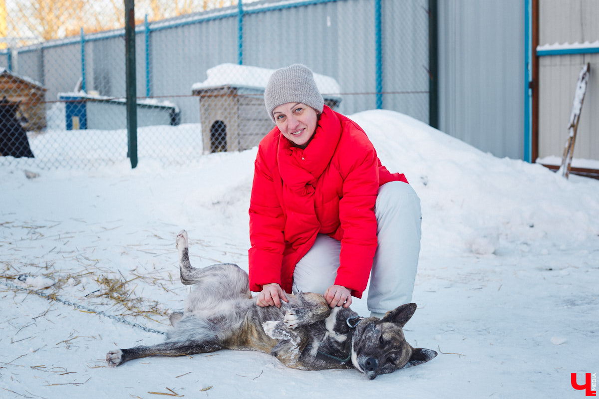 «Валента» сменила имя, локацию и уже начала осваиваться на новом участке. Поздравить с успешным переездом сотрудников и пушистых постояльцев новоиспеченного приюта «Ковчег33» мы решили лично, и привезли оттуда не только лучики добра, но и очень искренний фоторепортаж.