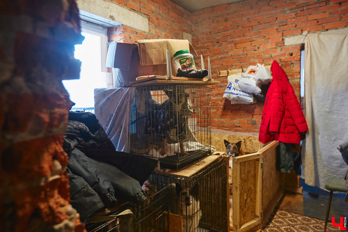 «Валента» сменила имя, локацию и уже начала осваиваться на новом участке. Поздравить с успешным переездом сотрудников и пушистых постояльцев новоиспеченного приюта «Ковчег33» мы решили лично, и привезли оттуда не только лучики добра, но и очень искренний фоторепортаж.