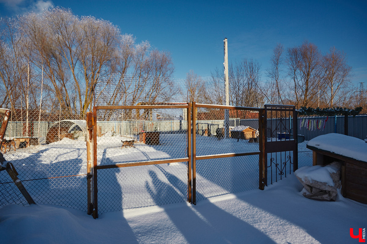 «Валента» сменила имя, локацию и уже начала осваиваться на новом участке. Поздравить с успешным переездом сотрудников и пушистых постояльцев новоиспеченного приюта «Ковчег33» мы решили лично, и привезли оттуда не только лучики добра, но и очень искренний фоторепортаж.