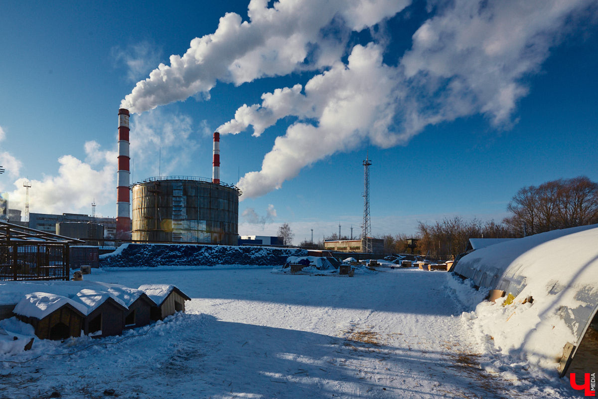 «Валента» сменила имя, локацию и уже начала осваиваться на новом участке. Поздравить с успешным переездом сотрудников и пушистых постояльцев новоиспеченного приюта «Ковчег33» мы решили лично, и привезли оттуда не только лучики добра, но и очень искренний фоторепортаж.