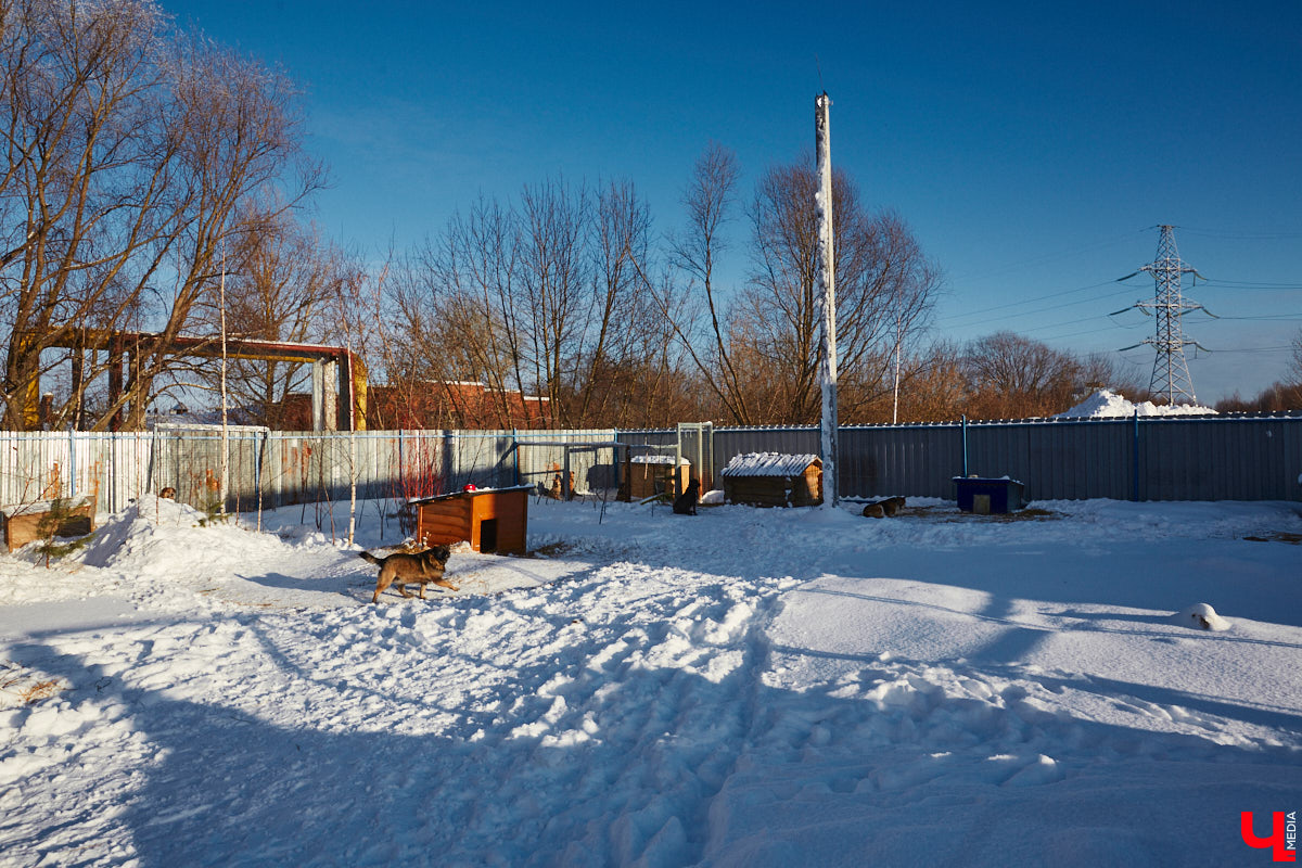 «Валента» сменила имя, локацию и уже начала осваиваться на новом участке. Поздравить с успешным переездом сотрудников и пушистых постояльцев новоиспеченного приюта «Ковчег33» мы решили лично, и привезли оттуда не только лучики добра, но и очень искренний фоторепортаж.