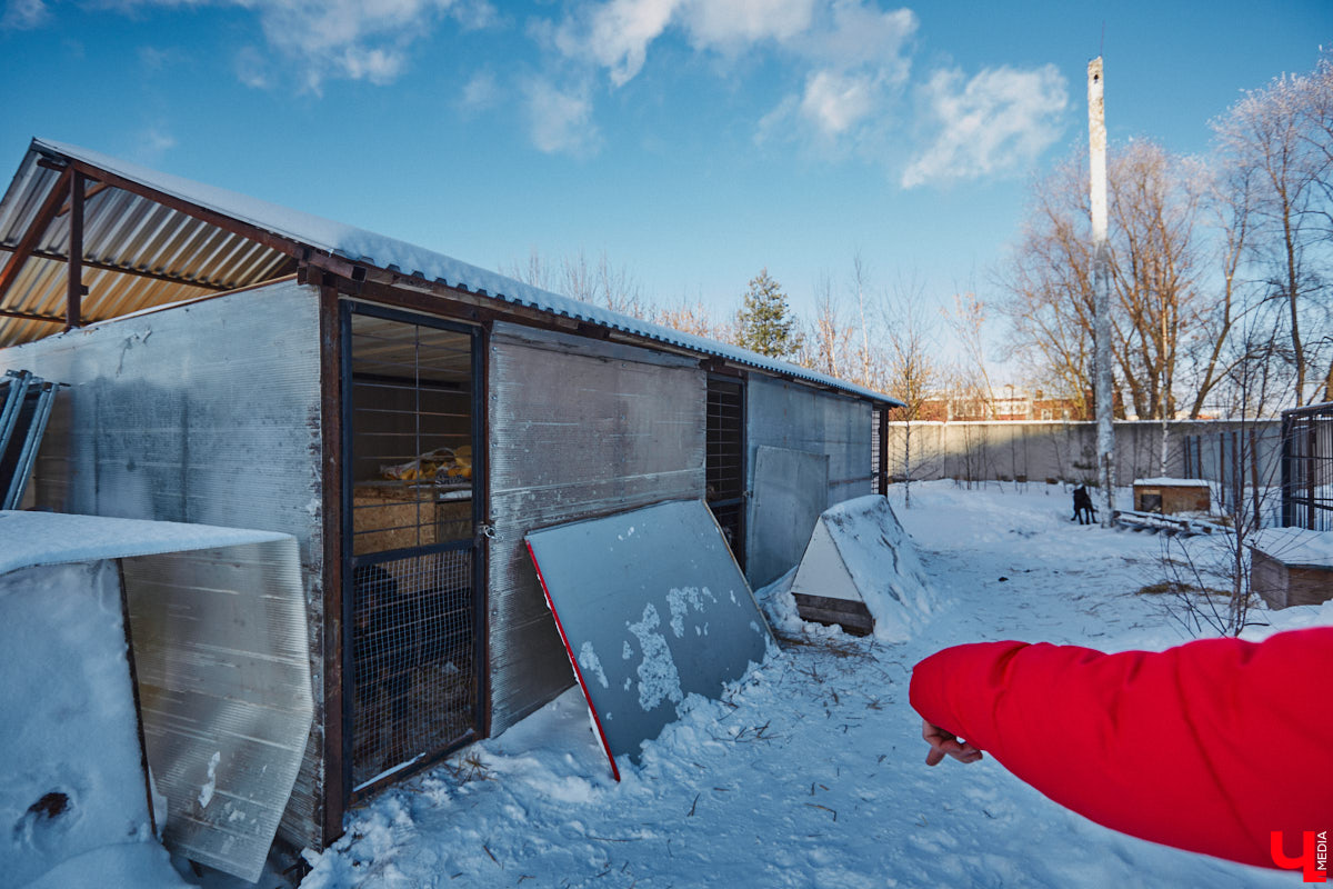 «Валента» сменила имя, локацию и уже начала осваиваться на новом участке. Поздравить с успешным переездом сотрудников и пушистых постояльцев новоиспеченного приюта «Ковчег33» мы решили лично, и привезли оттуда не только лучики добра, но и очень искренний фоторепортаж.