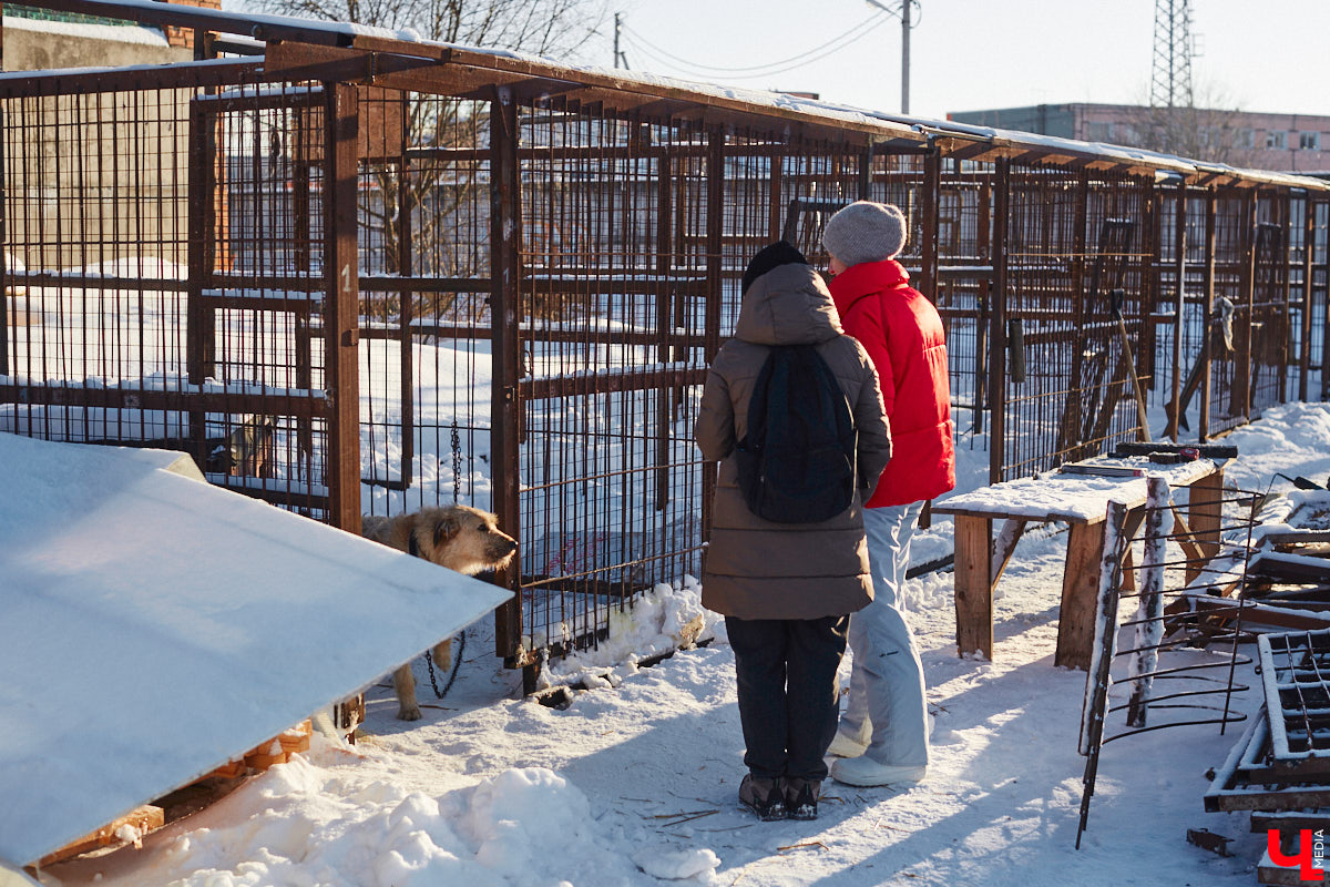 «Валента» сменила имя, локацию и уже начала осваиваться на новом участке. Поздравить с успешным переездом сотрудников и пушистых постояльцев новоиспеченного приюта «Ковчег33» мы решили лично, и привезли оттуда не только лучики добра, но и очень искренний фоторепортаж.
