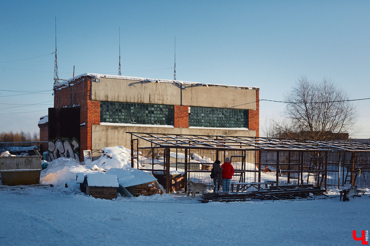 «Валента» сменила имя, локацию и уже начала осваиваться на новом участке. Поздравить с успешным переездом сотрудников и пушистых постояльцев новоиспеченного приюта «Ковчег33» мы решили лично, и привезли оттуда не только лучики добра, но и очень искренний фоторепортаж.