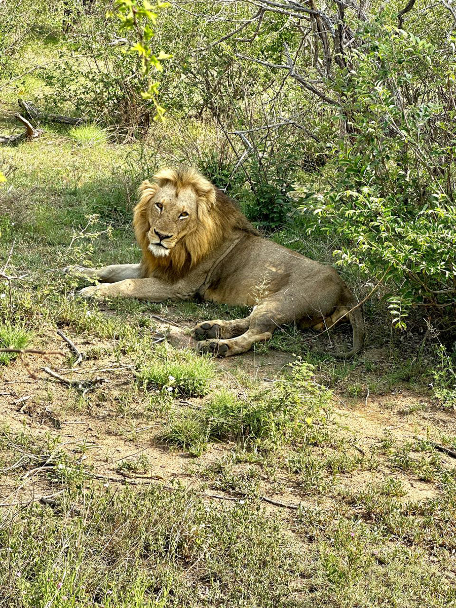 Юлия Щукина часто совмещает свой отпуск с забегами. Вот и на отдыхе в ЮАР владимирский маркетолог не удержалась от участия в трейле. О гонке по горам, живописных африканских локациях, встрече с китами и неожиданными обитателями жарких земель — пингвинами она поведала «Ключ-Медиа».