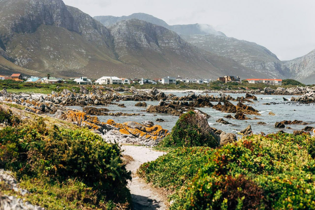 Юлия Щукина часто совмещает свой отпуск с забегами. Вот и на отдыхе в ЮАР владимирский маркетолог не удержалась от участия в трейле. О гонке по горам, живописных африканских локациях, встрече с китами и неожиданными обитателями жарких земель — пингвинами она поведала «Ключ-Медиа».