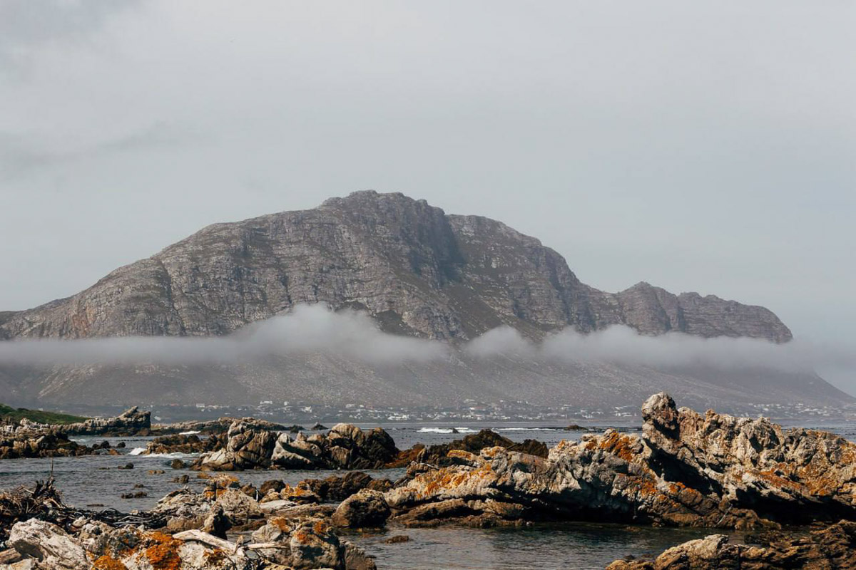 Юлия Щукина часто совмещает свой отпуск с забегами. Вот и на отдыхе в ЮАР владимирский маркетолог не удержалась от участия в трейле. О гонке по горам, живописных африканских локациях, встрече с китами и неожиданными обитателями жарких земель — пингвинами она поведала «Ключ-Медиа».