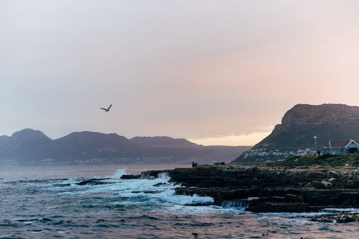 Юлия Щукина часто совмещает свой отпуск с забегами. Вот и на отдыхе в ЮАР владимирский маркетолог не удержалась от участия в трейле. О гонке по горам, живописных африканских локациях, встрече с китами и неожиданными обитателями жарких земель — пингвинами она поведала «Ключ-Медиа».
