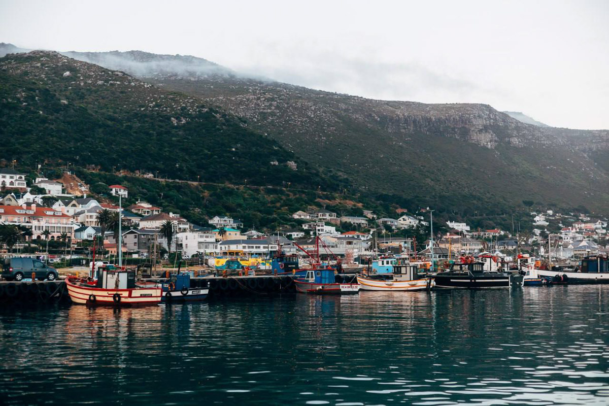 Юлия Щукина часто совмещает свой отпуск с забегами. Вот и на отдыхе в ЮАР владимирский маркетолог не удержалась от участия в трейле. О гонке по горам, живописных африканских локациях, встрече с китами и неожиданными обитателями жарких земель — пингвинами она поведала «Ключ-Медиа».