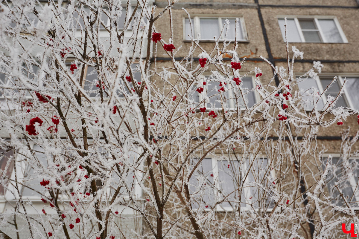 Панельки являются важной частью бытовой романтики и болью урбанистов. Они не вписываются в современную городскую среду, а некоторые своим мрачным видом серьезно портят внешний облик города. Три особенно «презентабельных» дома мы обнаружили на улице Юбилейной. Как их можно преобразить, подсказала владимирский архитектор.