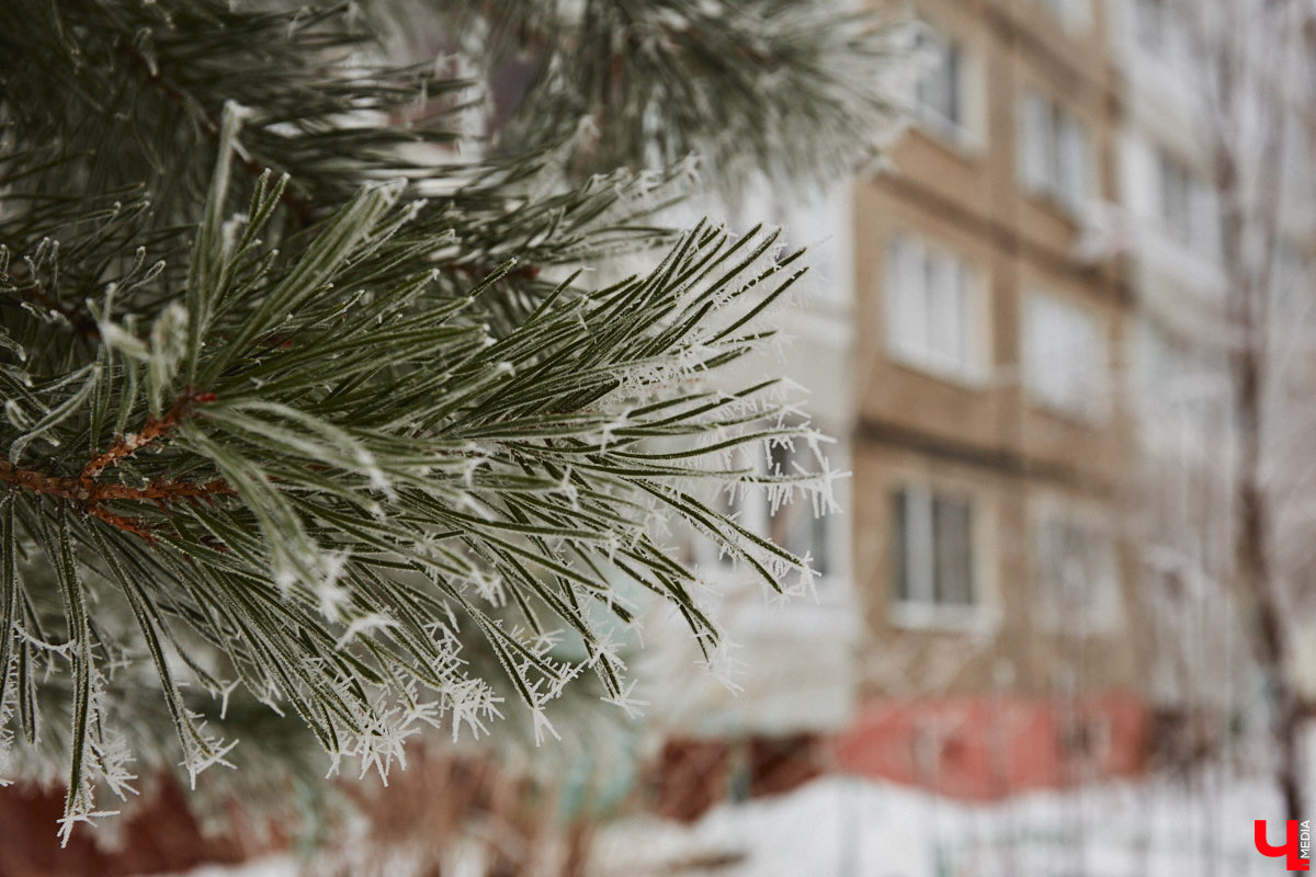 Панельки являются важной частью бытовой романтики и болью урбанистов. Они не вписываются в современную городскую среду, а некоторые своим мрачным видом серьезно портят внешний облик города. Три особенно «презентабельных» дома мы обнаружили на улице Юбилейной. Как их можно преобразить, подсказала владимирский архитектор.