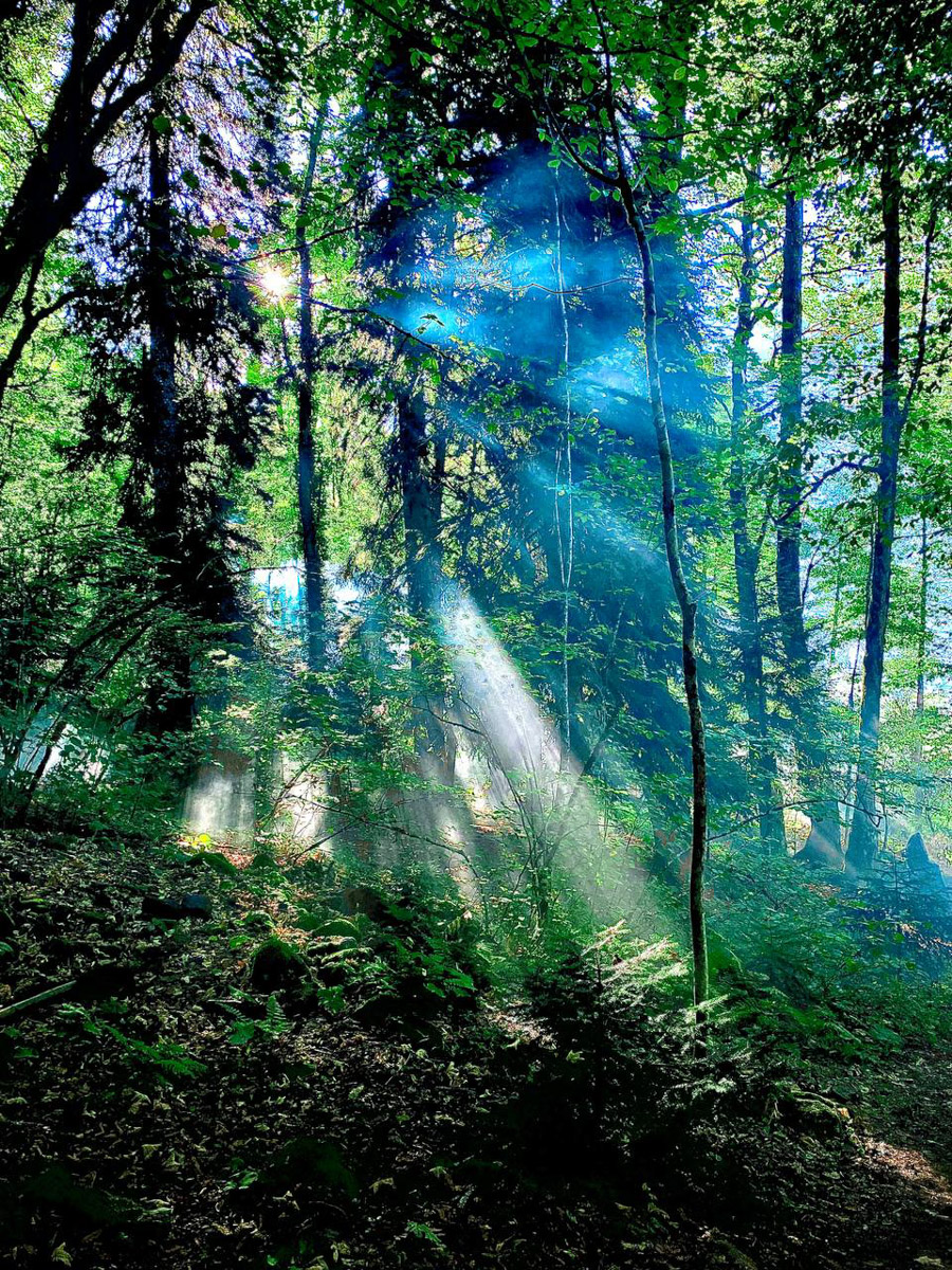 Хорошая новость для поклонников киновселенной последнего богатыря: по фильму сняли сериал с хорошо знакомыми сказочными персонажами. Впрочем, новых тоже прибавилось. Например, мифическую пиявицу сыграла владимирская актриса Софья Лобанова. Подробностями съемочного процесса, в том числе работе с Еленой Яковлевой, она поделилась с «Ключ-Медиа».