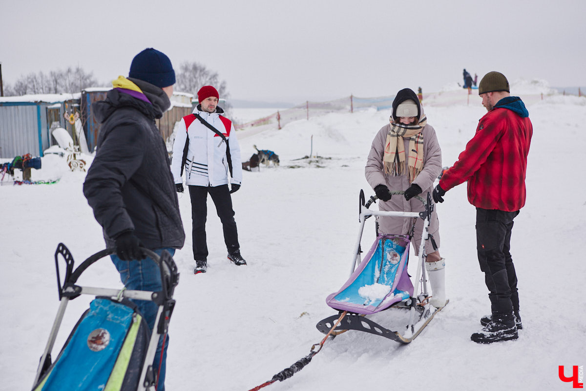 Частный приют «Дом северной собаки», расположенный в Петушинском районе, проводит во Владимире покатушки на ездовых собаках. Причем благотворительные. Все вырученные от зимнего развлечения деньги пойдут на содержание милых четвероногих друзей человека. Мы решили отправиться на фоторепортаж туда, где можно промчаться по заснеженной трассе с ветерком.