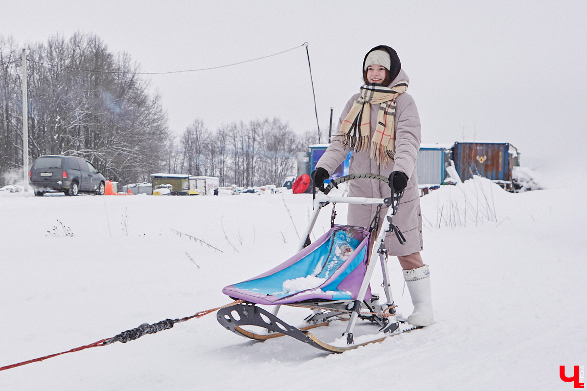 Частный приют «Дом северной собаки», расположенный в Петушинском районе, проводит во Владимире покатушки на ездовых собаках. Причем благотворительные. Все вырученные от зимнего развлечения деньги пойдут на содержание милых четвероногих друзей человека. Мы решили отправиться на фоторепортаж туда, где можно промчаться по заснеженной трассе с ветерком.