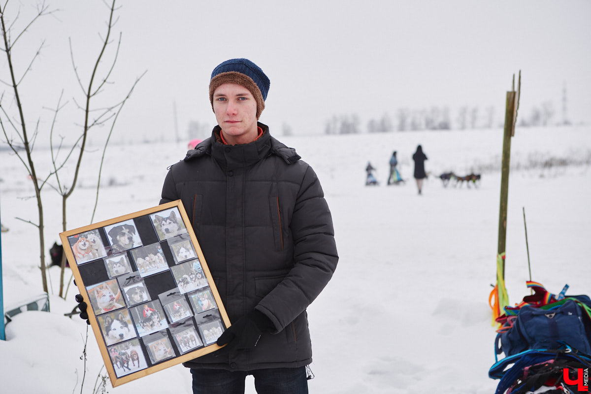 Частный приют «Дом северной собаки», расположенный в Петушинском районе, проводит во Владимире покатушки на ездовых собаках. Причем благотворительные. Все вырученные от зимнего развлечения деньги пойдут на содержание милых четвероногих друзей человека. Мы решили отправиться на фоторепортаж туда, где можно промчаться по заснеженной трассе с ветерком.