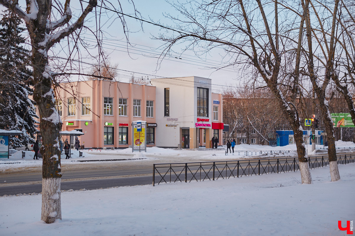 Один из семи владимирских скверов ждет преображение. Какой именно — зависит от жителей. Однако голосование начнется чуть позже. Ну а пока власти собирают предложения по доработке проектов, «Ключ-Медиа» поговорил о грядущих метаморфозах с неравнодушной к внешнему виду города жительницей областного центра.