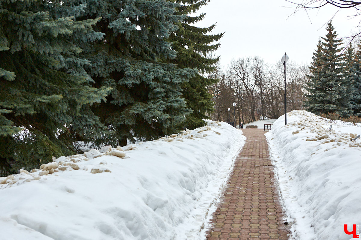 К семи возможным объектам для благоустройства в 2025 году добавили еще три варианта. Причем куда более интересных. Так, в центре Владимира может появиться новая локация для отдыха и точка притяжения для туристов с шикарным видом на Клязьму.