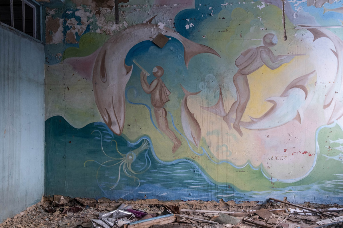 Сталкер из Москвы Михаил Александров недавно побывал в когда-то богато украшенном, а сейчас разрушенном здании учреждения культуры в Петушинском районе. И хотя там сохранилось немногое, оно точно заслуживает внимания. Например, рисунки водолазов, плавающих в окружении обитателей морских глубин, или мозаика на стенах.