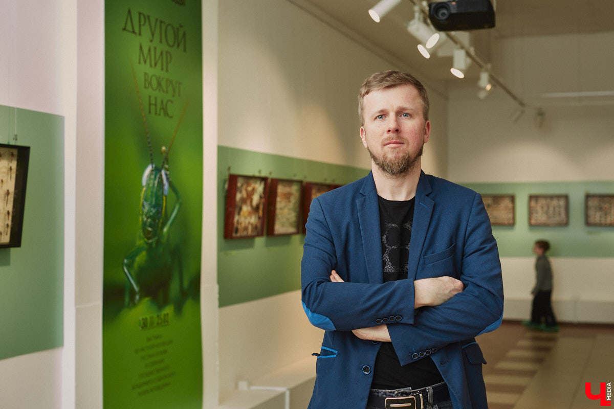 Руслан Жуков собрал коллекцию членистоногих. Одних только бабочек у него несколько тысяч, также он добавил к ним жуков, кузнечиков и даже тараканов. Всего за стеклом хранится четыре тысячи экземпляров, больше половины из них представлено на персональной выставке владимирского биолога в Музее природы.