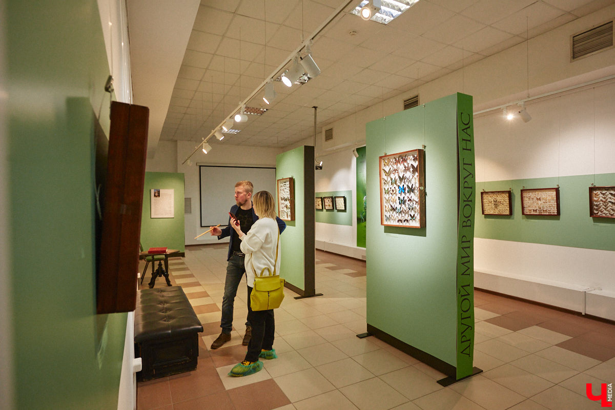 Руслан Жуков собрал коллекцию членистоногих. Одних только бабочек у него несколько тысяч, также он добавил к ним жуков, кузнечиков и даже тараканов. Всего за стеклом хранится четыре тысячи экземпляров, больше половины из них представлено на персональной выставке владимирского биолога в Музее природы.