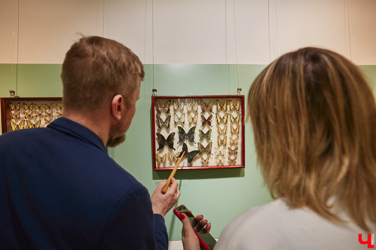 Руслан Жуков собрал коллекцию членистоногих. Одних только бабочек у него несколько тысяч, также он добавил к ним жуков, кузнечиков и даже тараканов. Всего за стеклом хранится четыре тысячи экземпляров, больше половины из них представлено на персональной выставке владимирского биолога в Музее природы.