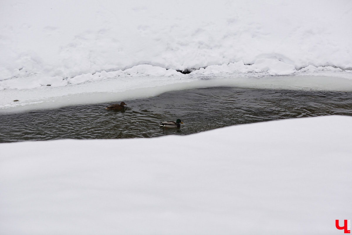 Первые итоги эксплуатации Рпенского проезда весьма позитивные: он разгрузил улицу Добросельскую примерно на треть. Но транспорта на нем может быть еще больше, если город решит вопрос примыкания к магистрали. Сейчас автомобили упираются в узкое горлышко на улице Юбилейной. К слову, есть шанс, что ее расширят.