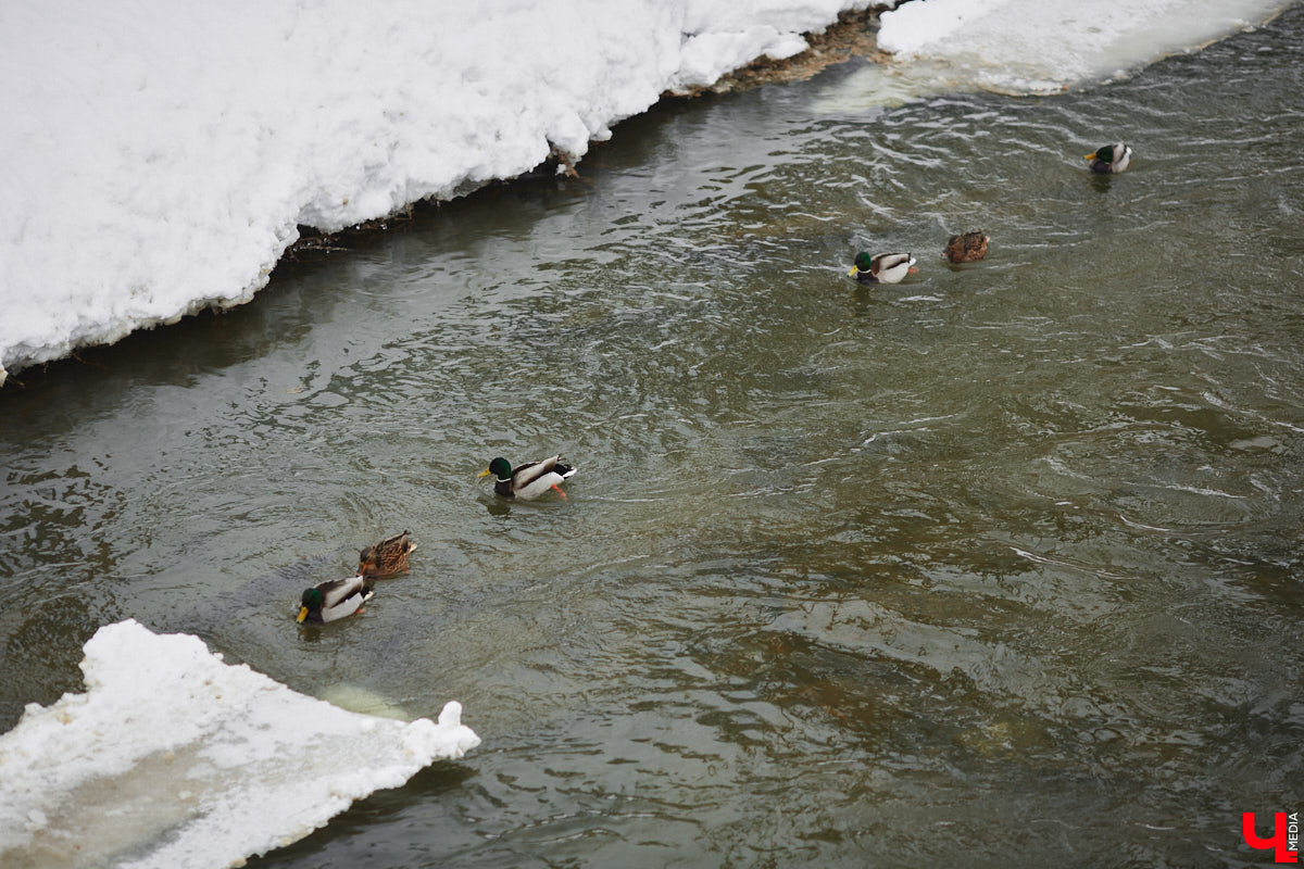 Первые итоги эксплуатации Рпенского проезда весьма позитивные: он разгрузил улицу Добросельскую примерно на треть. Но транспорта на нем может быть еще больше, если город решит вопрос примыкания к магистрали. Сейчас автомобили упираются в узкое горлышко на улице Юбилейной. К слову, есть шанс, что ее расширят.
