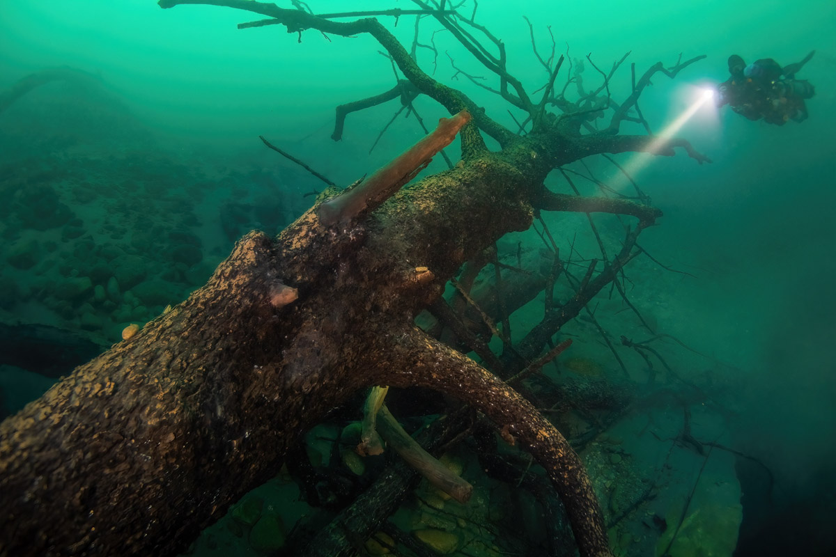 Семья владимирских дайверов Сергей и Мария Байковы объехала весь мир. Ребята ныряли в 46 странах, а теперь сосредоточились на путешествиях по России. И наша страна удивляет их снова и снова. На этот год все маршруты уже запланированы. Впереди 10 увлекательных туров от Байкала до Владивостока.