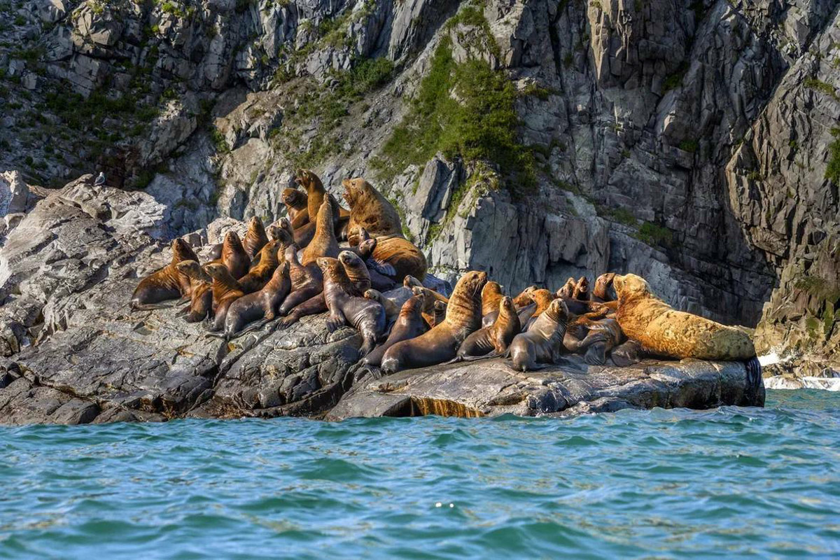 Семья владимирских дайверов Сергей и Мария Байковы объехала весь мир. Ребята ныряли в 46 странах, а теперь сосредоточились на путешествиях по России. И наша страна удивляет их снова и снова. На этот год все маршруты уже запланированы. Впереди 10 увлекательных туров от Байкала до Владивостока.