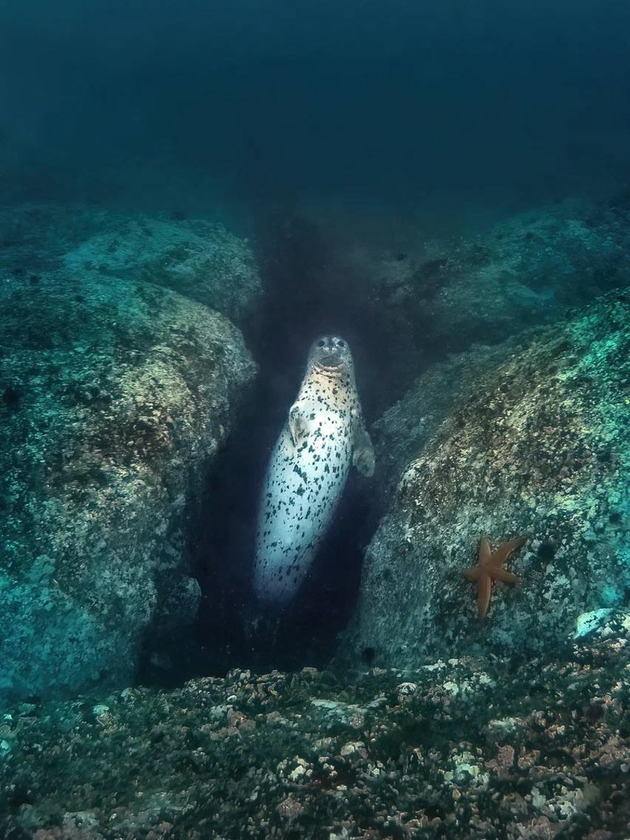 Семья владимирских дайверов Сергей и Мария Байковы объехала весь мир. Ребята ныряли в 46 странах, а теперь сосредоточились на путешествиях по России. И наша страна удивляет их снова и снова. На этот год все маршруты уже запланированы. Впереди 10 увлекательных туров от Байкала до Владивостока.