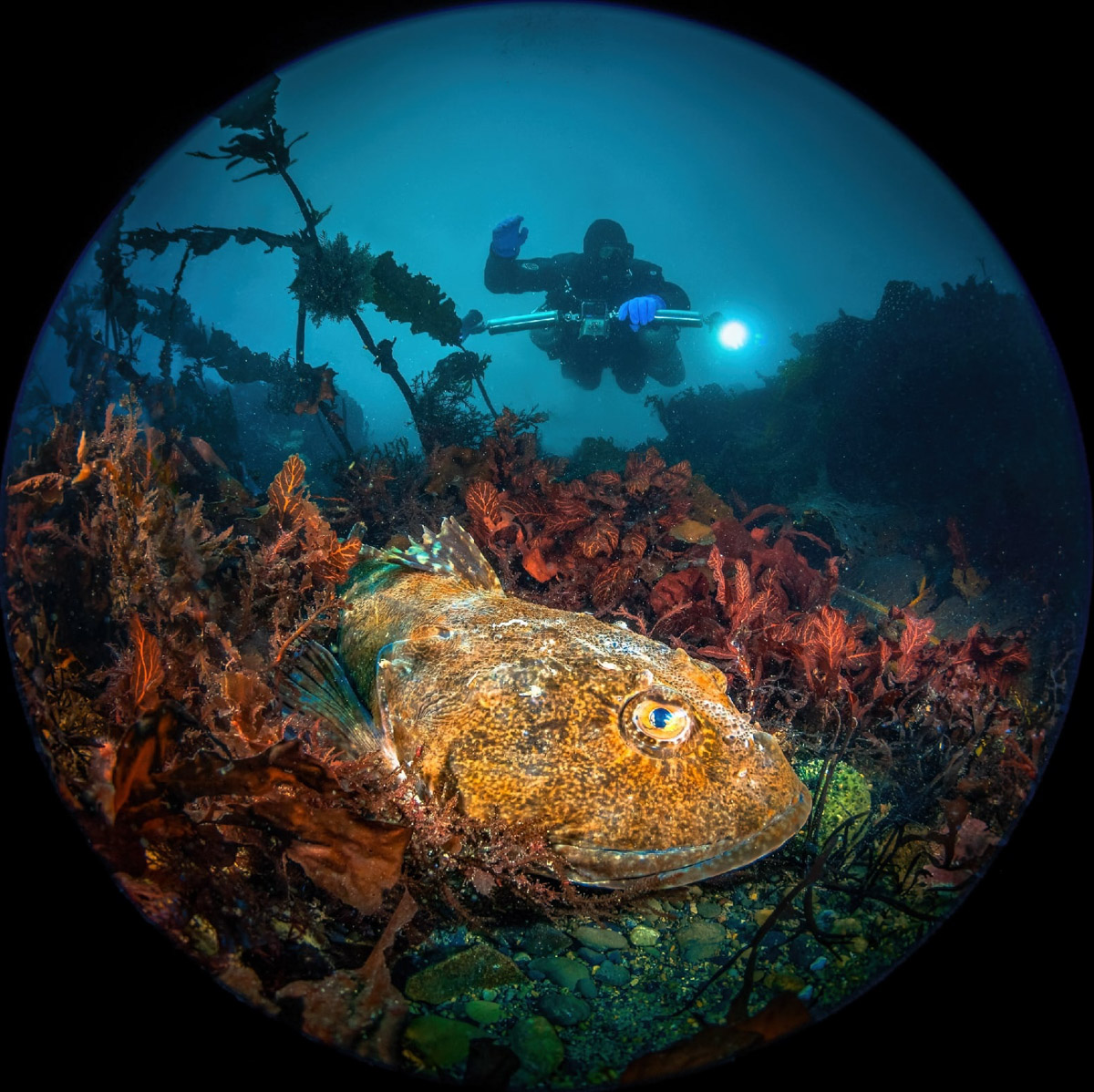 Семья владимирских дайверов Сергей и Мария Байковы объехала весь мир. Ребята ныряли в 46 странах, а теперь сосредоточились на путешествиях по России. И наша страна удивляет их снова и снова. На этот год все маршруты уже запланированы. Впереди 10 увлекательных туров от Байкала до Владивостока.