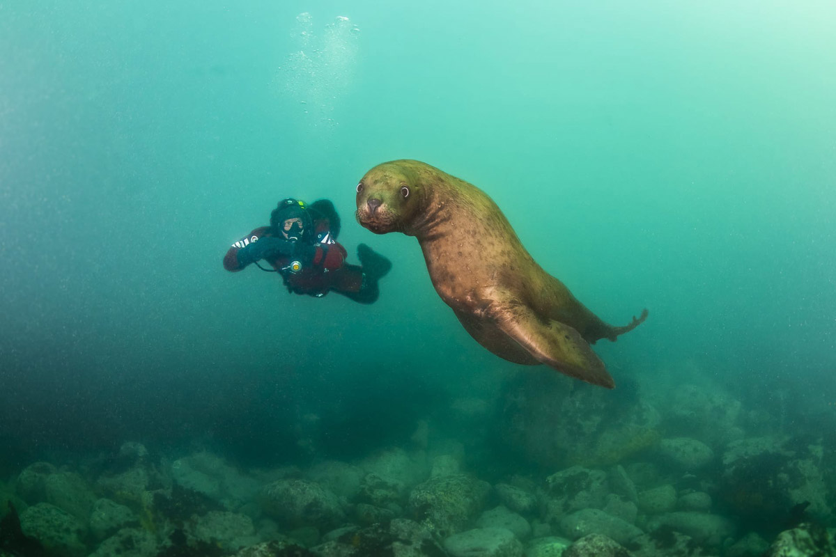 Семья владимирских дайверов Сергей и Мария Байковы объехала весь мир. Ребята ныряли в 46 странах, а теперь сосредоточились на путешествиях по России. И наша страна удивляет их снова и снова. На этот год все маршруты уже запланированы. Впереди 10 увлекательных туров от Байкала до Владивостока.