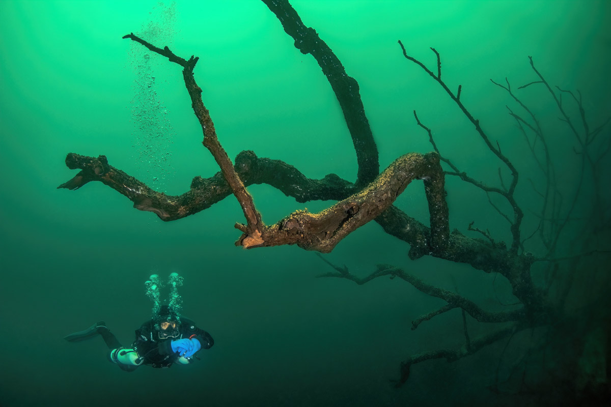 Семья владимирских дайверов Сергей и Мария Байковы объехала весь мир. Ребята ныряли в 46 странах, а теперь сосредоточились на путешествиях по России. И наша страна удивляет их снова и снова. На этот год все маршруты уже запланированы. Впереди 10 увлекательных туров от Байкала до Владивостока.