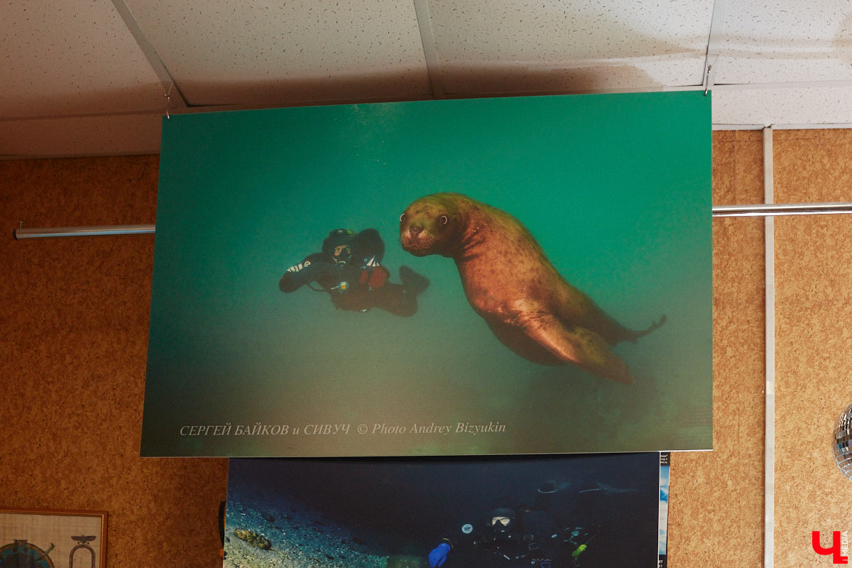 Семья владимирских дайверов Сергей и Мария Байковы объехала весь мир. Ребята ныряли в 46 странах, а теперь сосредоточились на путешествиях по России. И наша страна удивляет их снова и снова. На этот год все маршруты уже запланированы. Впереди 10 увлекательных туров от Байкала до Владивостока.