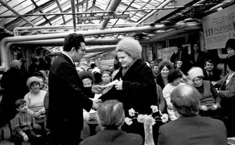 26 февраля 1973 года на базе строящегося Владимирского тепличного комбината был организован совхоз «Тепличный». Его строительство началось в 1971 году, а с 1973-го совхоз площадью 54 гектаров стал выпускать первую продукцию, которая сразу же появилась на прилавках местных магазинов. В день рождения одного из старейших предприятий нашего города, который в прошлом году отметил свой полувековой юбилей, давайте вспомним самые удивительные факты из его истории.