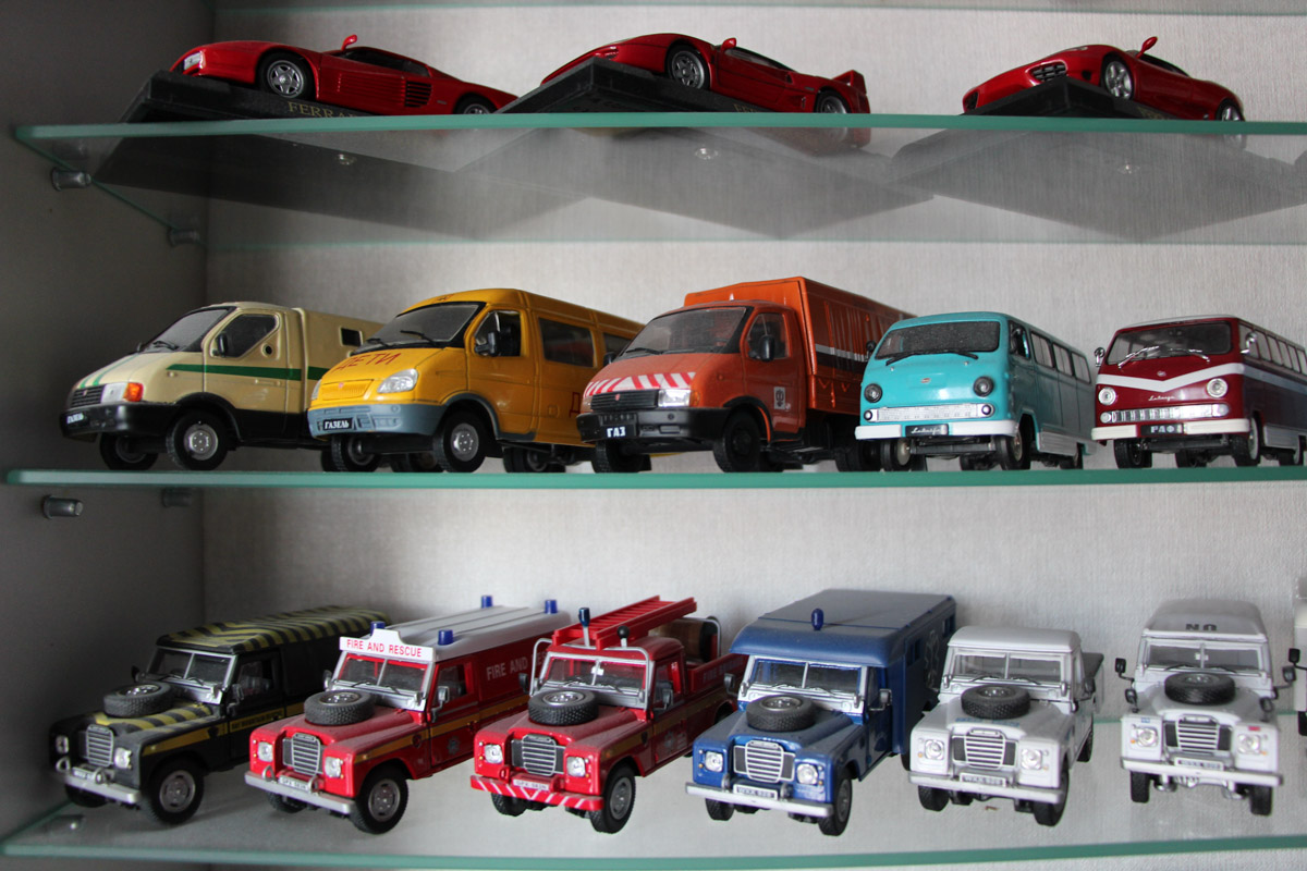 Внедорожники и грузовики, суперкары и советские авто, мотоциклы. У Александра Миронова не одна сотня экипажей разных дат выпуска и назначения. Правда, все они в миниатюре. О самых дорогих и раритетных моделях из своей удивительной коллекции с 35-летней историей владимирец рассказал нашему изданию.