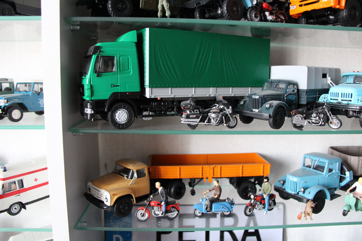 Внедорожники и грузовики, суперкары и советские авто, мотоциклы. У Александра Миронова не одна сотня экипажей разных дат выпуска и назначения. Правда, все они в миниатюре. О самых дорогих и раритетных моделях из своей удивительной коллекции с 35-летней историей владимирец рассказал нашему изданию.