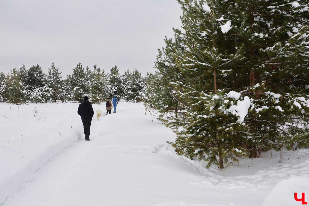 Уже полтора года, как владимирцы Алексей и Татьяна Логвиненко покинули каменные джунгли. Переехала чета с детьми не в типовой загородный дом, а в барнхаус, ставший частью их туристического проекта — энтоглэмпинга. Замыслом и подробностями быта пара поделилась с «Ключ-Медиа», заглянувшим к ним в гости.