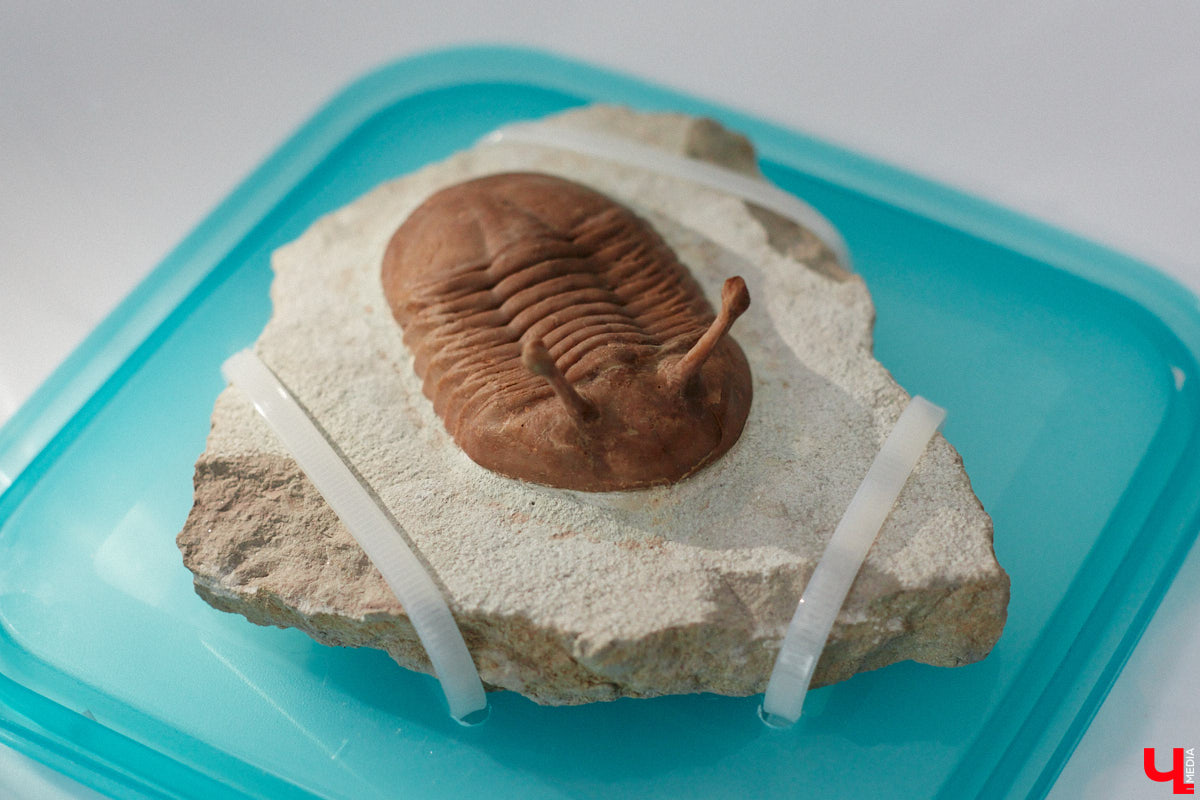 Уже полтора года, как владимирцы Алексей и Татьяна Логвиненко покинули каменные джунгли. Переехала чета с детьми не в типовой загородный дом, а в барнхаус, ставший частью их туристического проекта — энтоглэмпинга. Замыслом и подробностями быта пара поделилась с «Ключ-Медиа», заглянувшим к ним в гости.