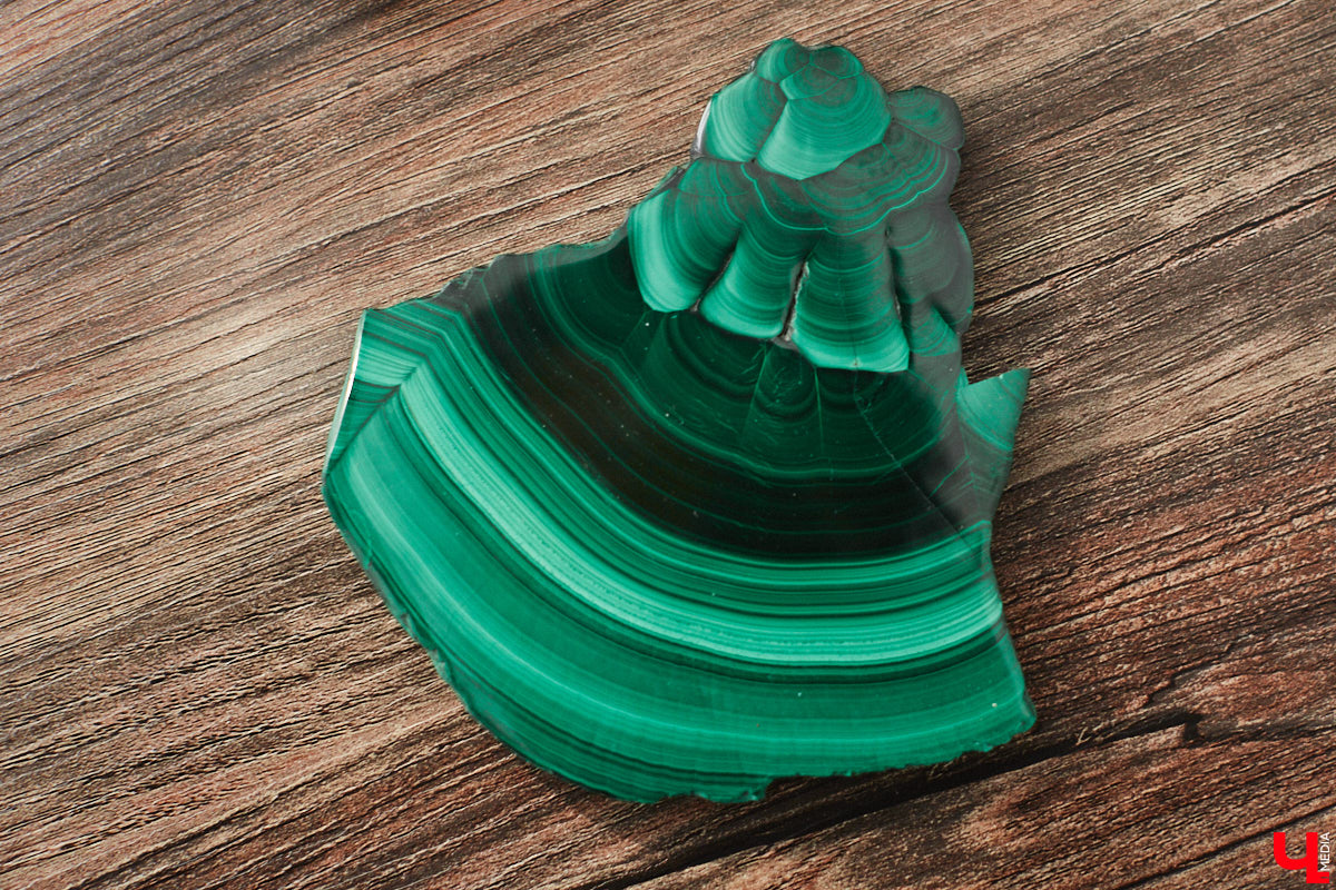 Уже полтора года, как владимирцы Алексей и Татьяна Логвиненко покинули каменные джунгли. Переехала чета с детьми не в типовой загородный дом, а в барнхаус, ставший частью их туристического проекта — энтоглэмпинга. Замыслом и подробностями быта пара поделилась с «Ключ-Медиа», заглянувшим к ним в гости.