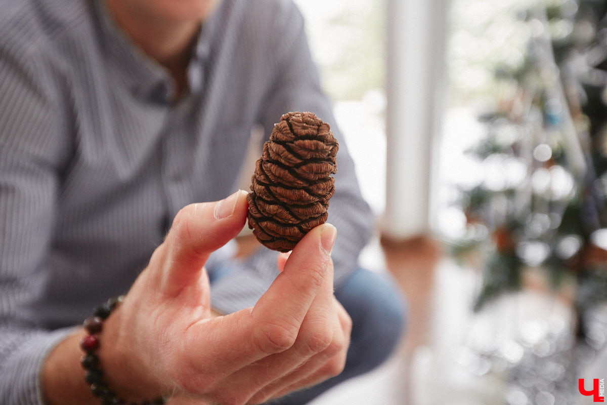 Уже полтора года, как владимирцы Алексей и Татьяна Логвиненко покинули каменные джунгли. Переехала чета с детьми не в типовой загородный дом, а в барнхаус, ставший частью их туристического проекта — энтоглэмпинга. Замыслом и подробностями быта пара поделилась с «Ключ-Медиа», заглянувшим к ним в гости.